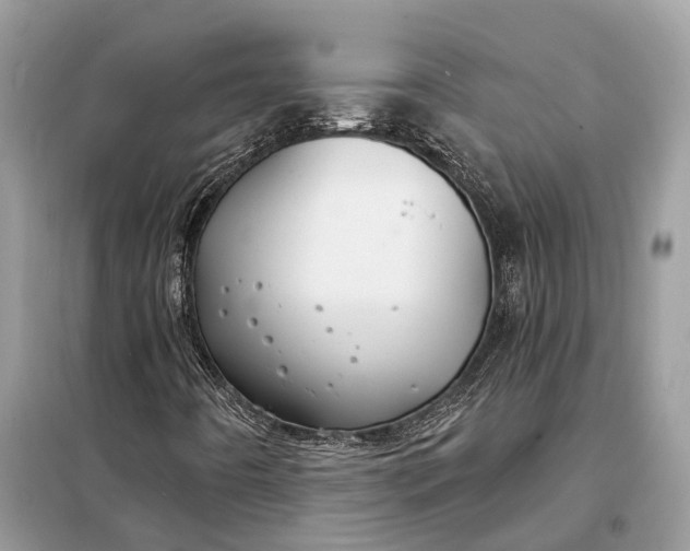 X0000098211442200805081124