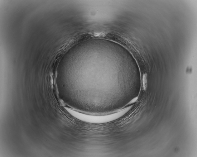 X0000098211443200805081124