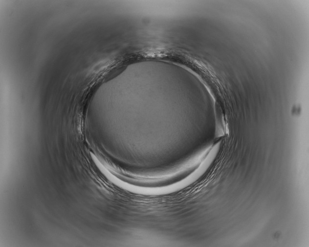 X0000098211444200805081124