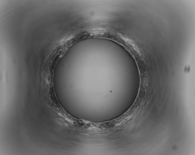 X0000098211445200805081124