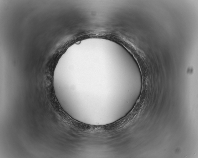 X0000098211447200805081124