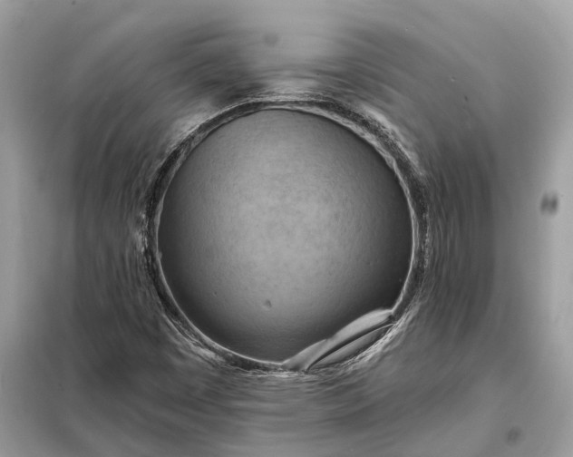 X0000098211449200805081124