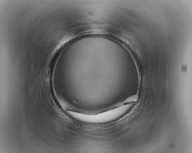 X0000098211450200805081124