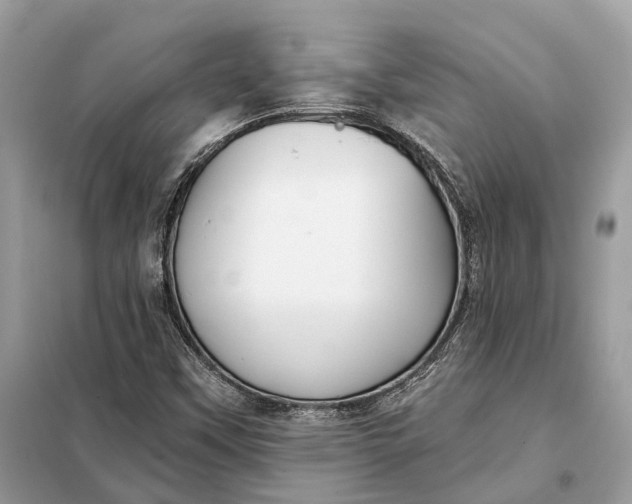 X0000098211451200805081124