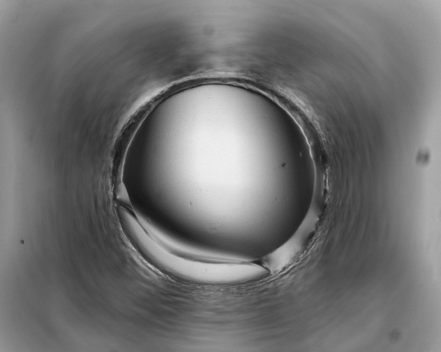 X0000098211452200805081124