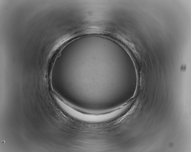 X0000098211453200805081124