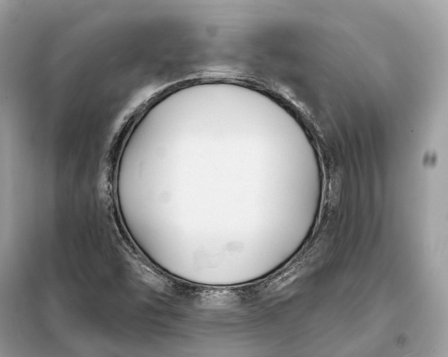 X0000098211454200805081124