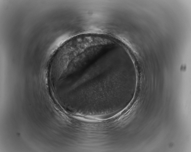 X0000098211455200805081124
