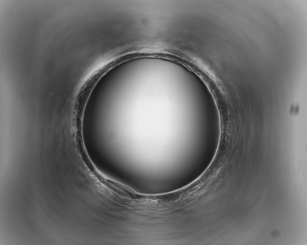 X0000098211456200805081123