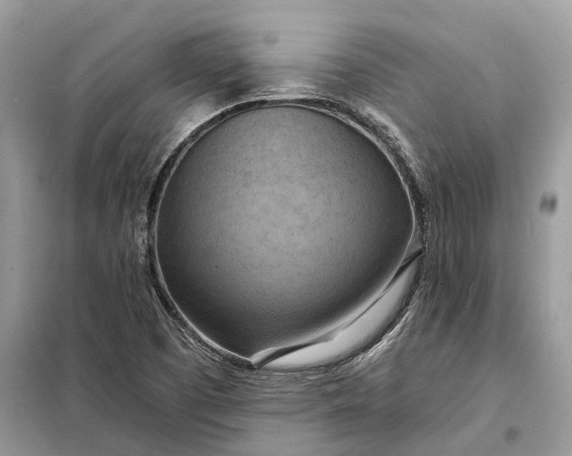 X0000098211457200805081123