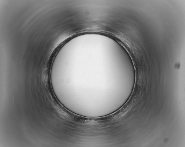 X0000098211458200805081123