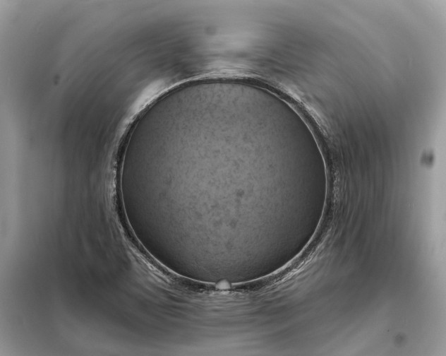 X0000098211459200805081123