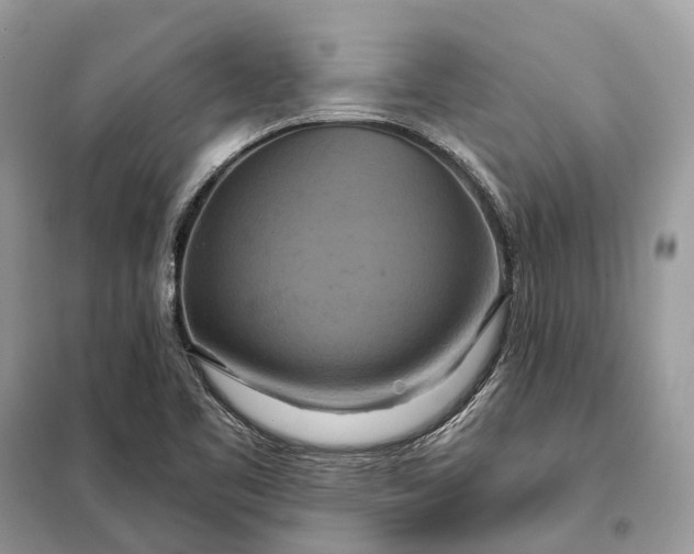 X0000098211461200805081123