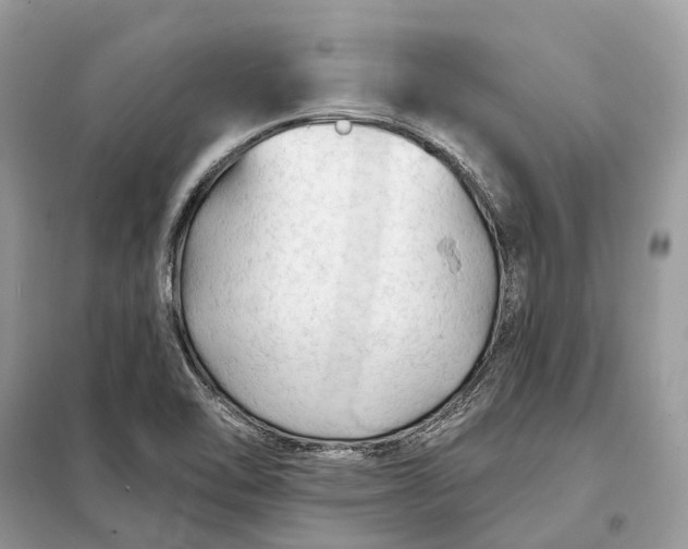 X0000098211462200805081123