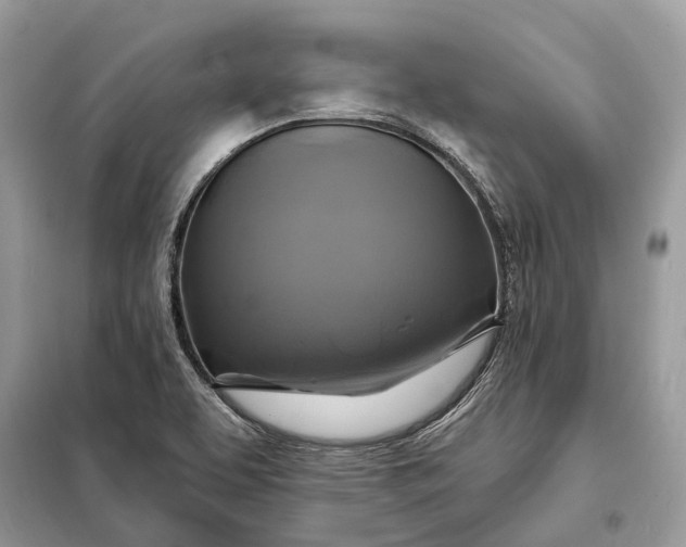 X0000098211463200805081123