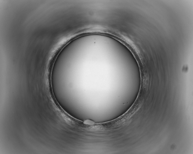 X0000098211464200805081123