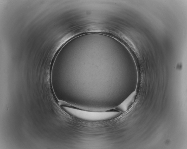 X0000098211465200805081123