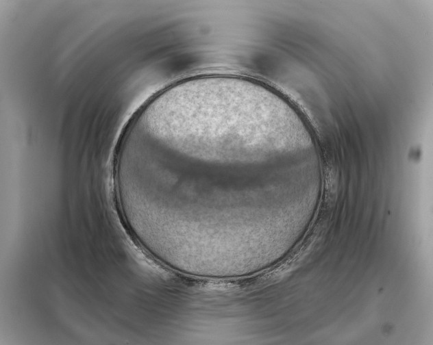 X0000098211466200805081123