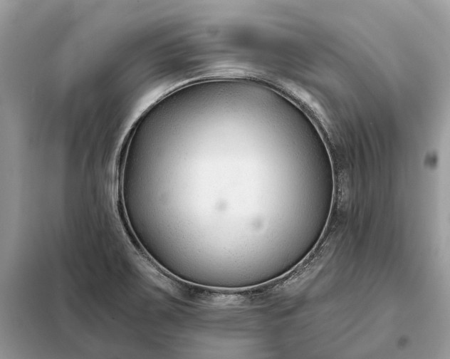 X0000098211467200805081123