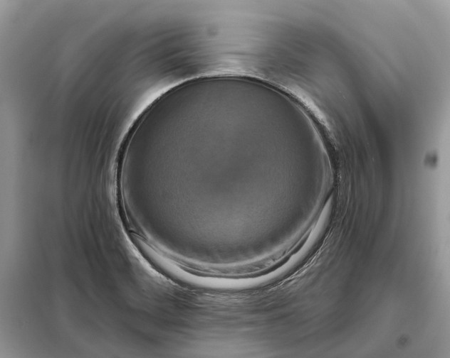 X0000098211468200805081123