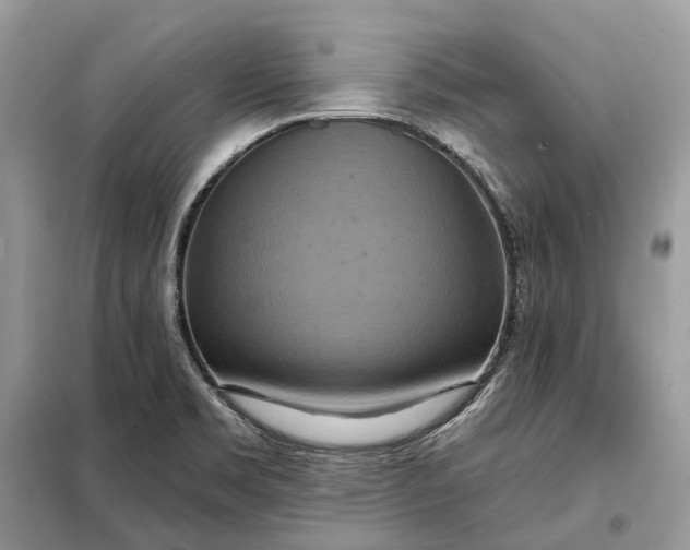 X0000098211469200805081123