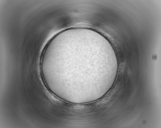 X0000098211470200805081123