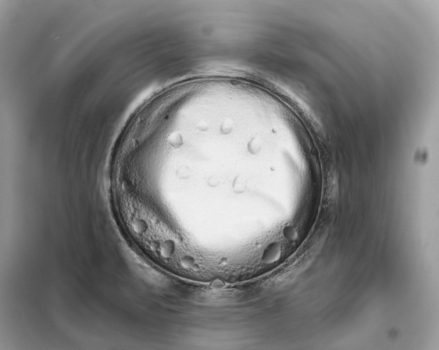 X0000098211471200805081123