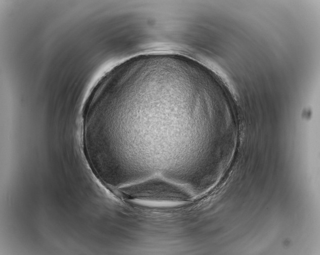 X0000098211472200805081123