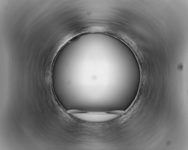 X0000098211473200805081123