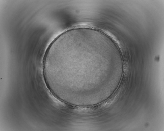 X0000098211474200805081123