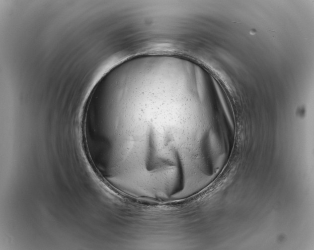 X0000098211475200805081123