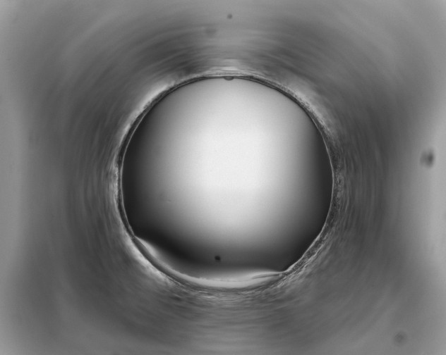 X0000098211476200805081123