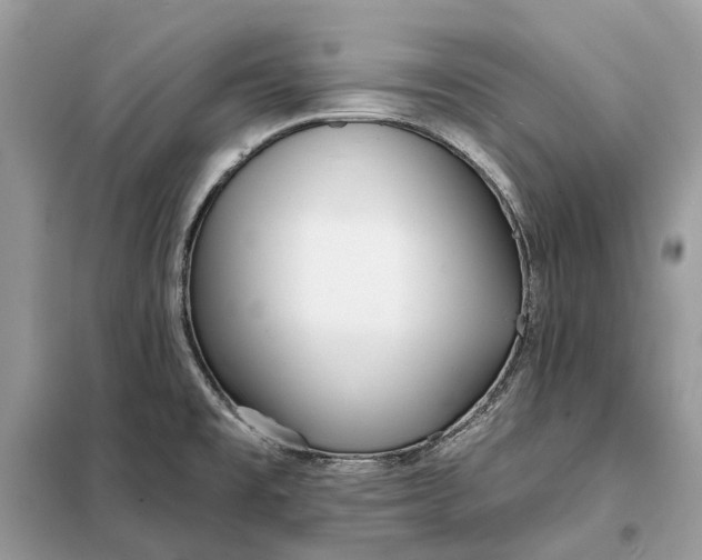 X0000098211477200805081123