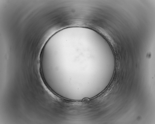 X0000098211479200805081123
