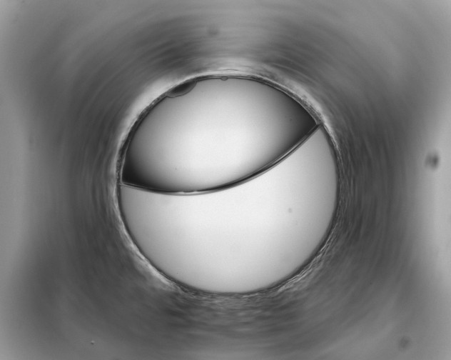 X0000098211480200805081123