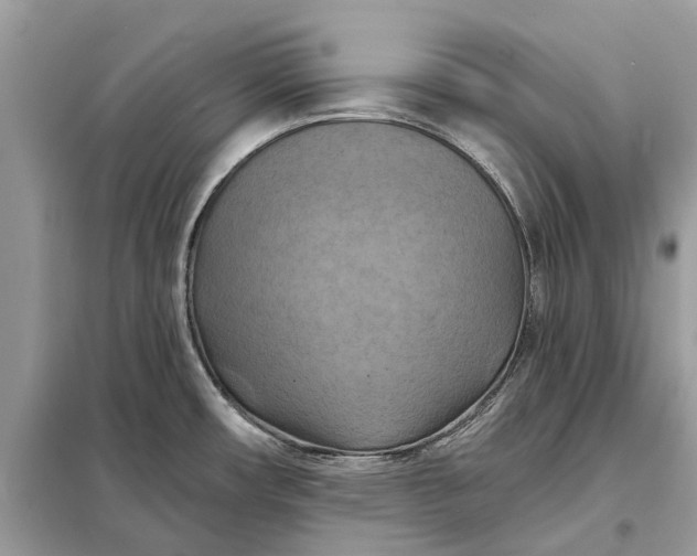 X0000098211482200805081123