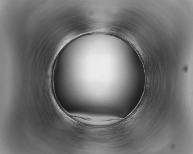 X0000098211483200805081123