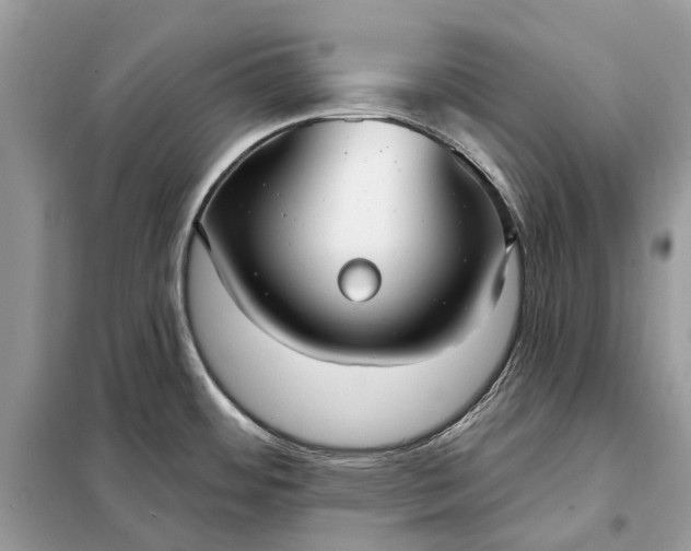 X0000098211484200805081123