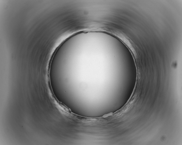 X0000098211485200805081123