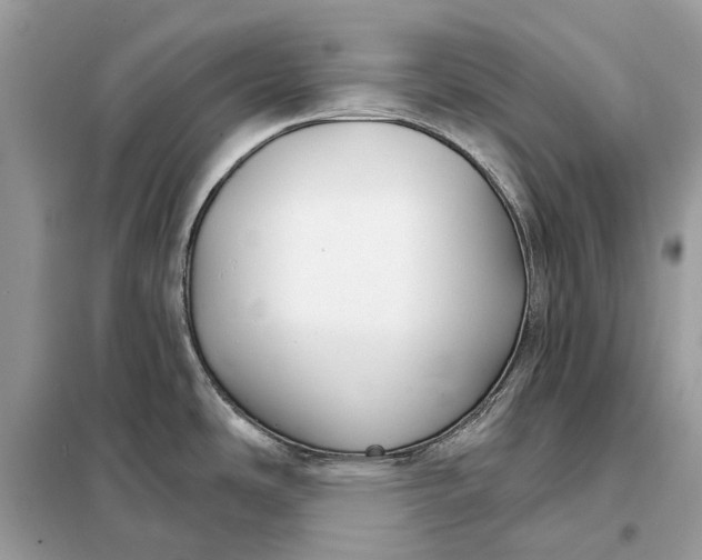 X0000098211486200805081123