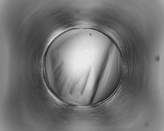 X0000098211487200805081123