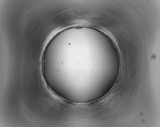 X0000098211488200805081123