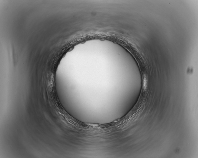 X0000098211492200805081122