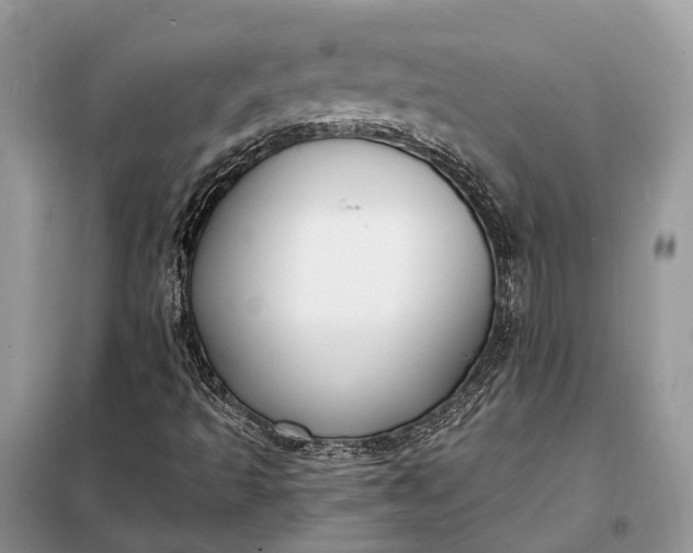 X0000098211493200805081122