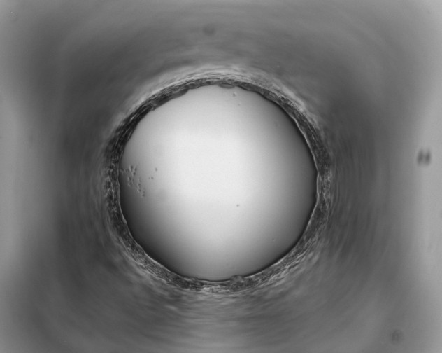 X0000098211496200805081122