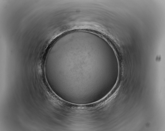X0000098211497200805081122