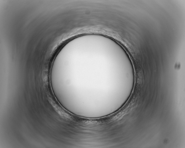 X0000098211499200805081122