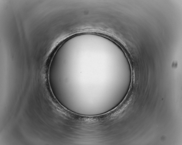X0000098211501200805081122