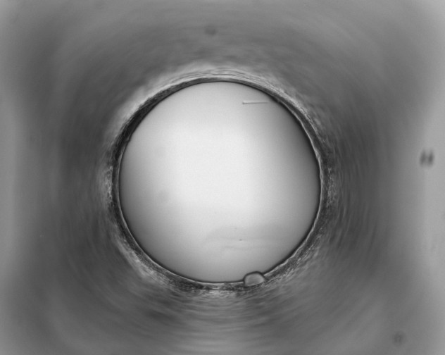 X0000098211503200805081123