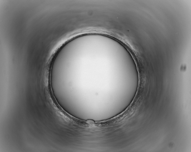 X0000098211504200805081123